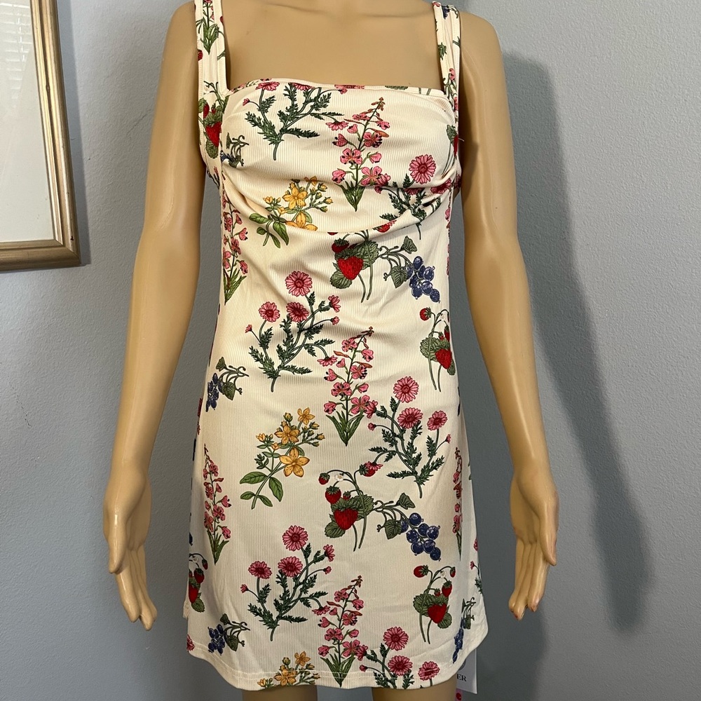 NWT Cider Dress size medium